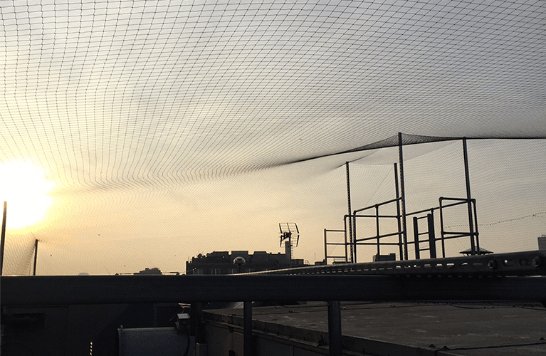 bird-netting-2