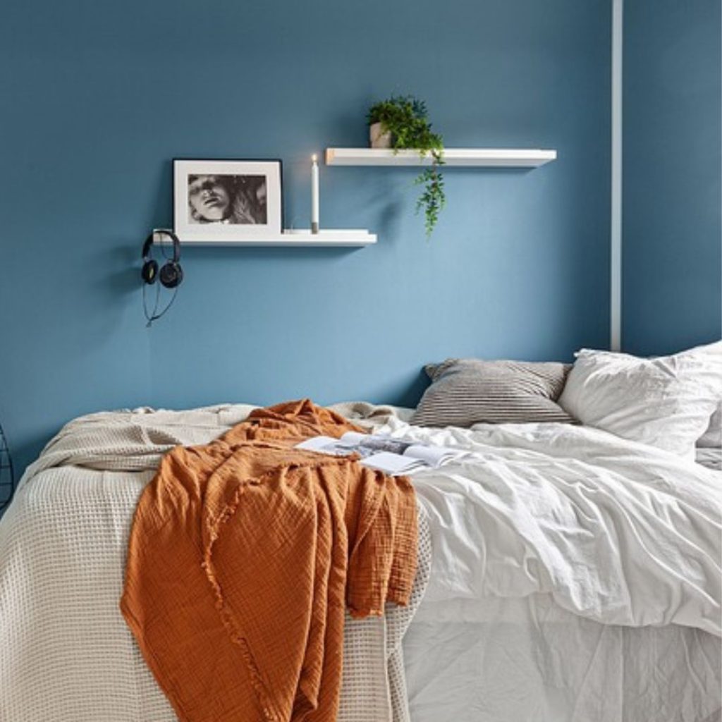 To get rid of bed bugs contact Protex Pest Control Services in London