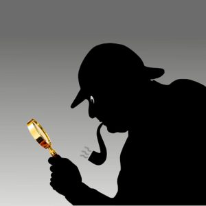 Pharaoh Ants Removal Services in London.