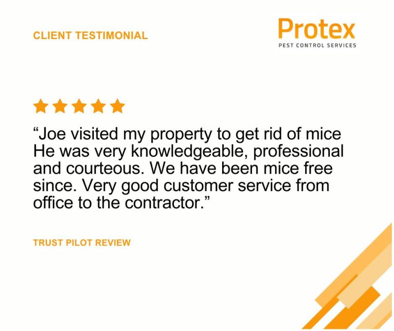 Pest control london 5 star review