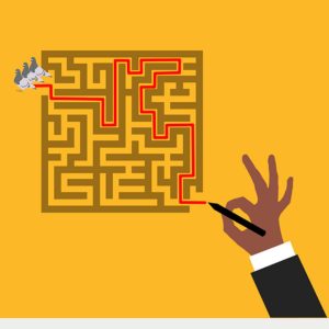 White label bird control services for the trade