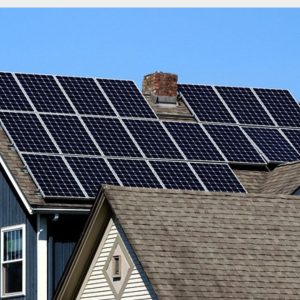 The best way to protect your solar panels or to remove nesting birds is to use a professional.